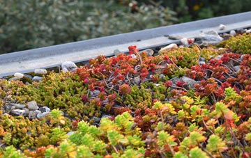 the cost of Weston Heath green roof installation