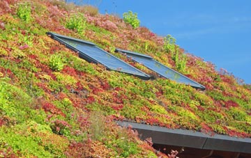 Weston Heath living roof systems